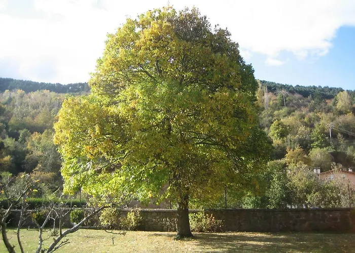 Casa De Julio Marroquin